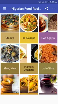 Nigerian Food Recipes android App screenshot 4